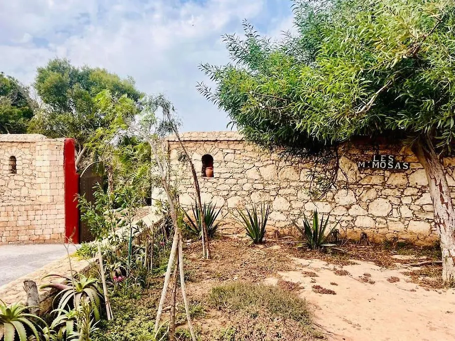 Domaine Des Mimosas Villa Essaouira