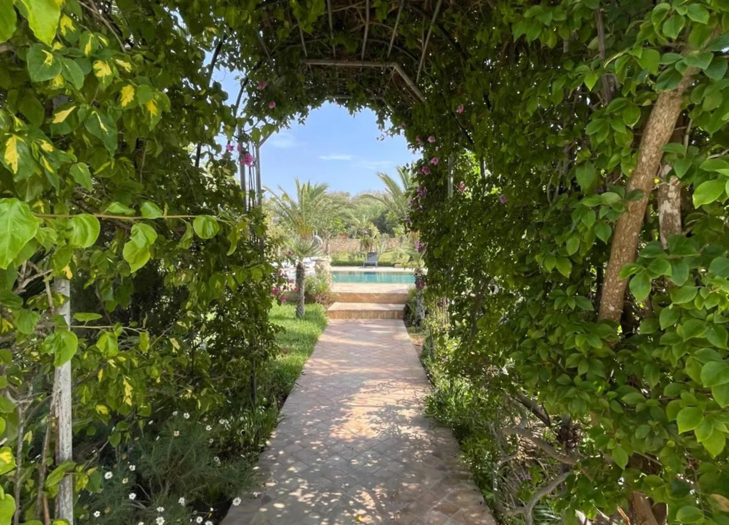 Domaine Des Mimosas Villa Essaouira