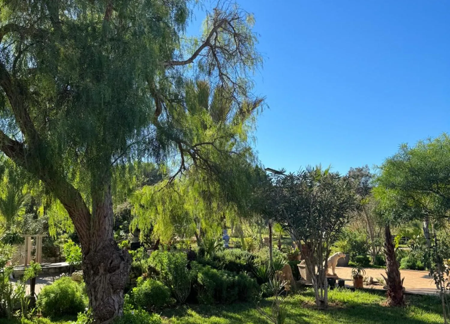 Domaine Des Mimosas Villa Essaouira