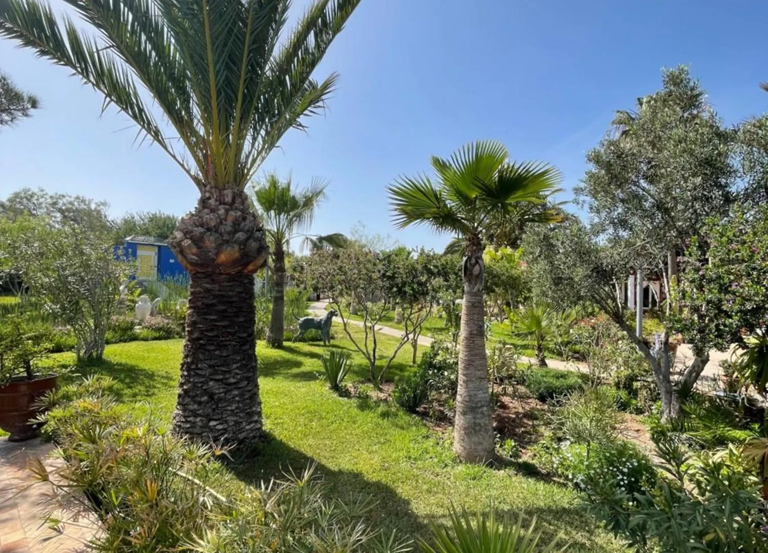 Domaine Des Mimosas Villa Essaouira Marokko