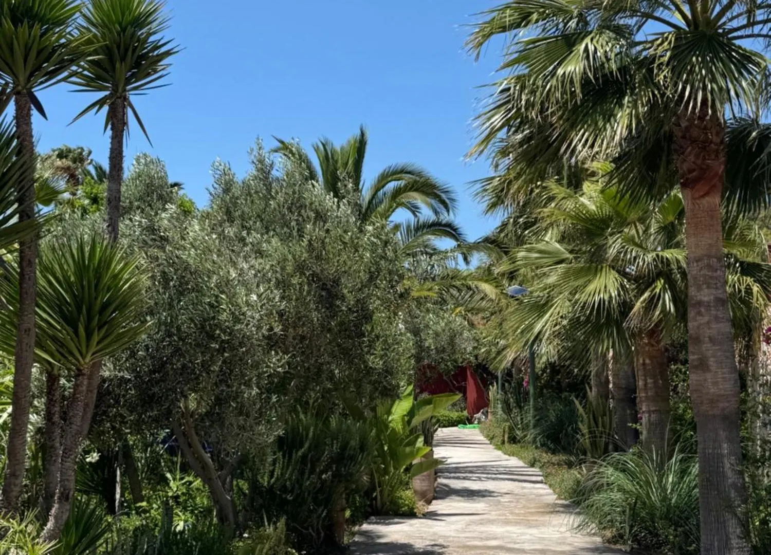Domaine Des Mimosas Villa Essaouira